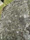 image of grave number 366736